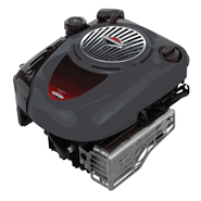 Motor Motor Briggs Stratton<br>Quantum LSE_BLACK